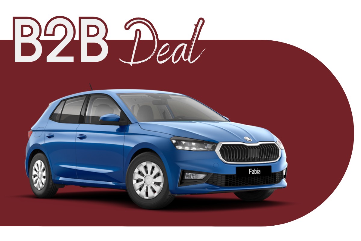 Skoda Fabia Angebot 1 114€ Leasingrate