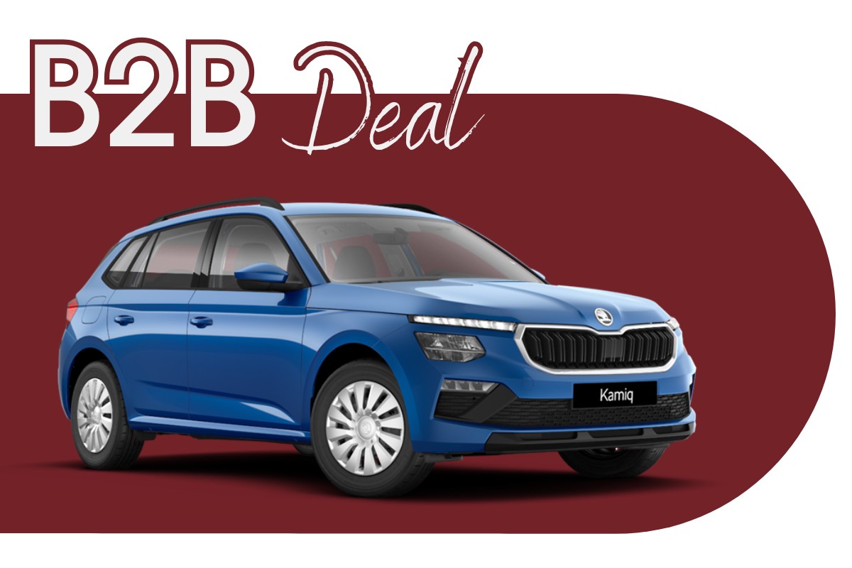 Skoda Kamiq Angebot 2 149€ Leasingrate